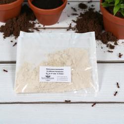 Steinernema Ameisenfrei 16 Mio. 