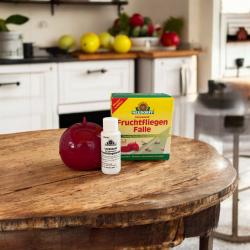 Fruchtfliegenfalle incl.Lockstoff 