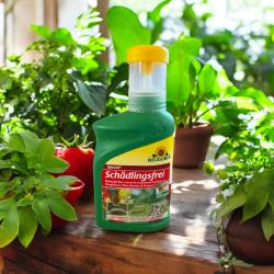 Spruzit Schädlingsfrei 250ml 