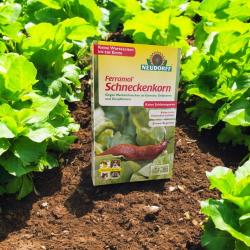 Ferramol-Schneckenkorn 1.000g 