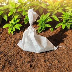 Kompostwürmer 0.25 kg #SEPARATE LIEFERUNG# 