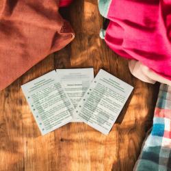 Trichogramma evan. g.Textilmotten 6 Lief. je 12 Kärtchen 