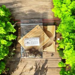 Asselfrei Kellerasselfalle 