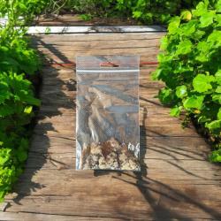 Asselfrei Nachfüllpack 