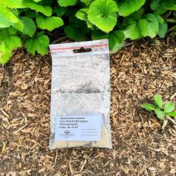 Nematoden SK "cool" g. Dickmaulrüssler "Nemasys" 6 Mio. 12m² 