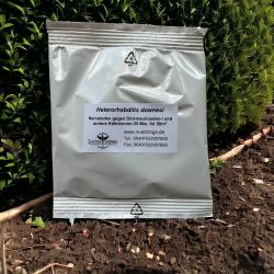 Hetero. downesi "cool" 25 Mio. Nemat.g. Dickmaulrüssler u.a. 