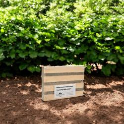 Käferfalle für Dickmaulrüssler - Nematop Käferstopp 