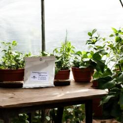 SF Nematoden gegen Trauermücken 6 Mio. für 12 m² 