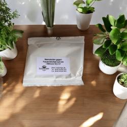 SF Nematoden gegen Trauermücken 3 Mio. für 6 m² 