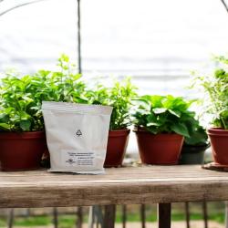 SF Nematoden gegen Trauermücken 50 Mio. für 100 m² 