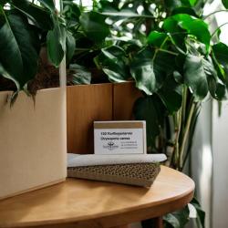 Florfliegenlarven gegen Blattläuse u.a. 150 Stück 