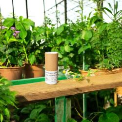 Gallmücken (Aphidoletes) 400 Stück 