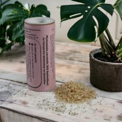 Raubmilben (Phytoseiulus) gegen Spinnmilben 200 Stück 