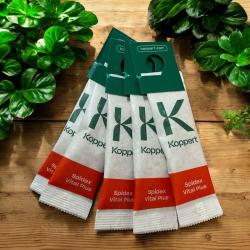 Vital Phyto Raubmilben gegen Spinnmilben 5 T. 