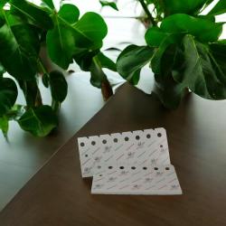 Schlupfwespen gegen Weiße Fliege 600 Stück 