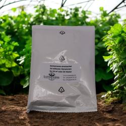 Steinernema Ameisenfrei 50 Mio. 