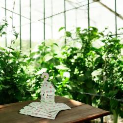 BioBox 5 Stück/Packung 