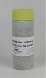 Amblyseius californicus 1.000 Stück 