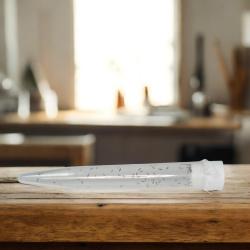 Ameisenwespchen Cephalonomia tarsalis 40 Stck. 