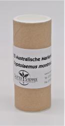 Australische Marienkäfer 25 Stück (Cryptolaemus) 