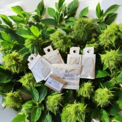 Sorgenkinder:5 cuc & andersoni Tüte,3 Mio SF,150 FF 