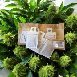 Cannabis Vorsorge: 5 anderson Tüten,5.000 Hypo,150 FF 