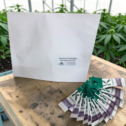 Cannabis Thripspanik: 15 T. montdorensis Tütenchen,100 Orius 