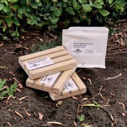 Dickmaulrüsslerset M: 3 Käferfallen-12 Mio HB Nemos 