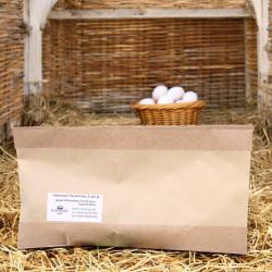 Raubmilben gegen Schlangen-/Vogelmilben 5.000 Stck. 