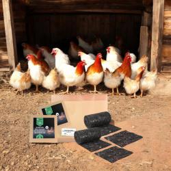 Vogel&Schlangen Retter L: Hypos 12.500-2 Fallen-2 Befmatte 