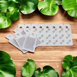 Frühjahr-Winter-Sorglos S: 8 CC-5 A. andersoni Tüten 