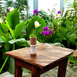 Leptomastix dactylopii 25 Stück 