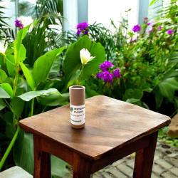 Metaphycus flavus 25 Stück 