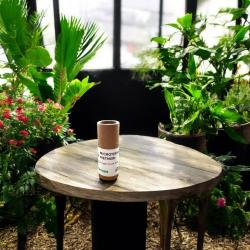 Microterys flavus 25 Stück 