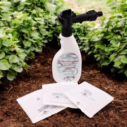 Schrebergarten-Nematodenset S: 6Mio SC-SF-HB-Sprüh 