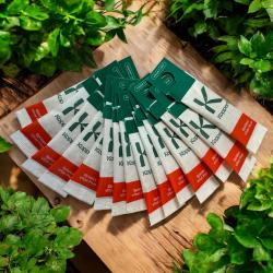 Vital Phyto Raubmilben gegen Spinnmilben 15 T 