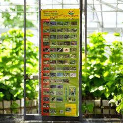 Poster zum Nützlingseinsatz 