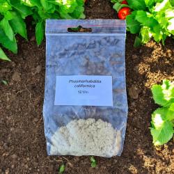 PC Nemaslug-Nematoden gegen Schnecken 12 Mio. für 40m² 