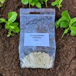 PC Nemaslug-Nematoden gegen Schnecken 30 Mio. für 100m² 