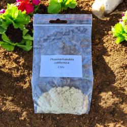 Nemaslug-Nematoden gegen Schnecken 6  Mio. für 20 m² 