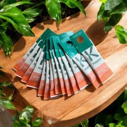 A. swirskii Tütchen 15 St. 