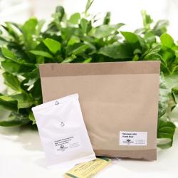 Trauermückenset L: SF 50 Mio-12.500 Hypos-20 Glbtf. 