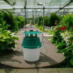 Trichterfalle für Schadmotten grün-grün-transparent 