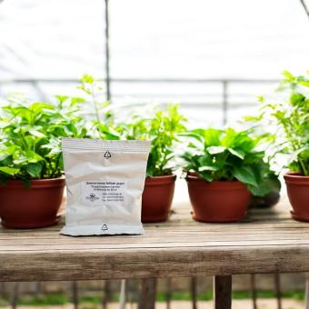 SF Nematoden gegen Trauermücken 25 Mio. für 50 m² 