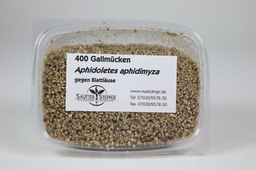 Gallmücken (Aphidoletes) 400 Stück 