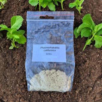 PC Nemaslug-Nematoden gegen Schnecken 30 Mio. für 100m² 